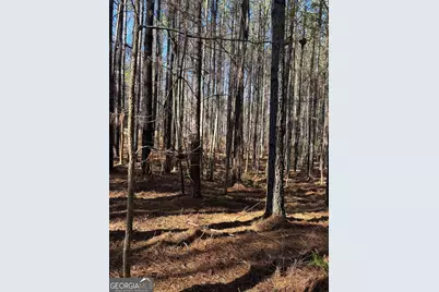 0 Forrest Road, Hogansville, GA 30230 - Photo 4