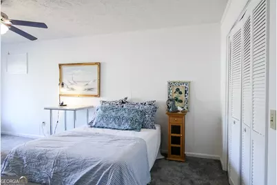 314 N Main Street, Reidsville, GA 30453 - Photo 78