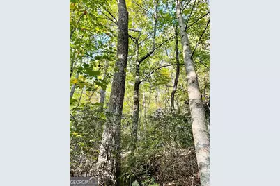0 Blue Ridge Gap Road, Rabun Gap, GA 30568 - Photo 2