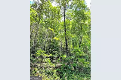 0 Blue Ridge Gap Road, Rabun Gap, GA 30568 - Photo 1