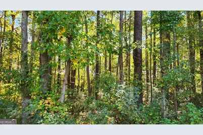 0 Bullsboro Drive, Newnan, GA 30265 - Photo 6