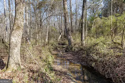 2644 Nunnally Shoals Tract 2 Road, Good Hope, GA 30641 - Photo 16