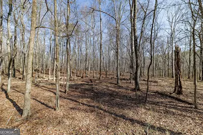 2644 Nunnally Shoals Tract 2 Road, Good Hope, GA 30641 - Photo 10