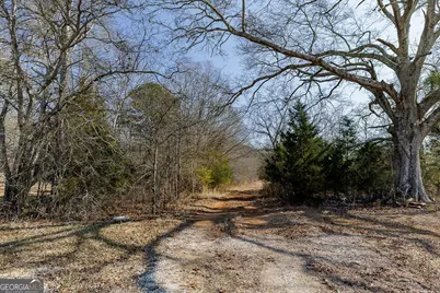 2644 Nunnally Shoals Tract 2 Road, Good Hope, GA 30641 - Photo 8