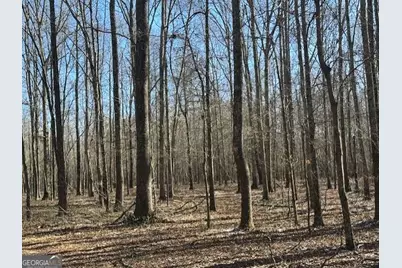 2644 Nunnally Shoals Tract 2 Road, Good Hope, GA 30641 - Photo 6