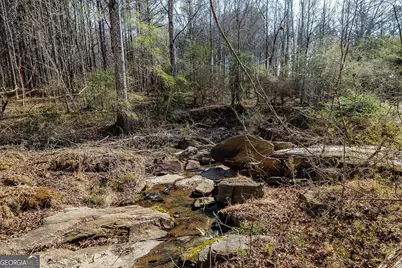 2644 Nunnally Shoals Tract 2 Road, Good Hope, GA 30641 - Photo 18