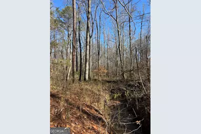 0 Durand Highway, Warm Springs, GA 31830 - Photo 8