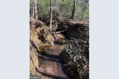0 Durand Highway, Warm Springs, GA 31830 - Photo 6