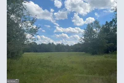 627 Buford Road, Arabi, GA 31712 - Photo 12