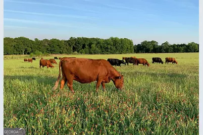 627 Buford Road, Arabi, GA 31712 - Photo 2