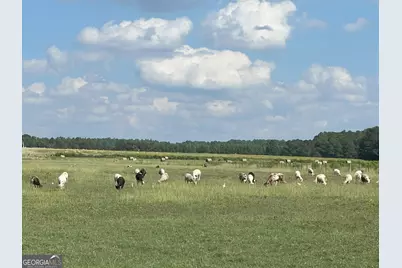 627 Buford Road, Arabi, GA 31712 - Photo 10