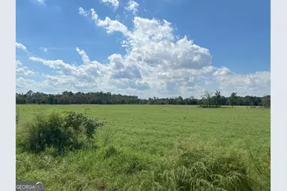 627 Buford Road, Arabi, GA 31712 - Photo 18