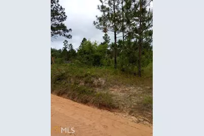 0 Bill Glenn Rd Off Highway 56, Swainsboro, GA 30401 - Photo 4