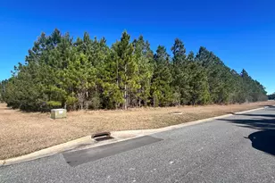 0 Bulkhead Dr, Kingsland, GA 31548 - Photo 1