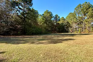 10199 Ga Hwy 296, Stapleton, GA 30823 - Photo 30