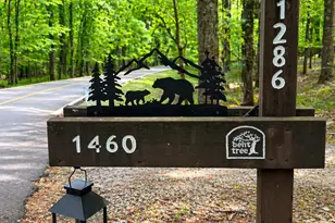 1286 Oglethorpe Mountain Rd, Jasper, GA 30143 - Photo 2