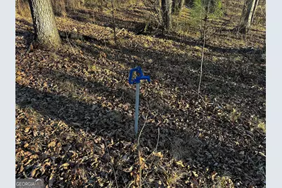 151 Sandy Springs Drive, Athens, GA 30601 - Photo 14