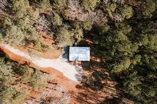 72 Frank Mathews Rd, Lexington, GA 30648 - Photo 34