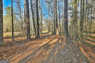 161 Mockingbird Ln, Brooks, GA 30205 - Photo 4