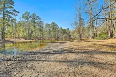 161 Mockingbird Lane, Brooks, GA 30205 - Photo 42