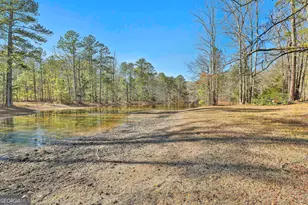 161 Mockingbird Ln, Brooks, GA 30205 - Photo 42