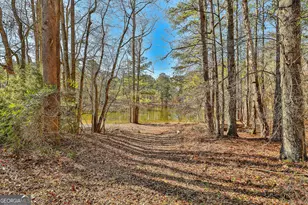 161 Mockingbird Ln, Brooks, GA 30205 - Photo 54