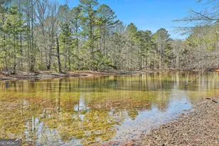 161 Mockingbird Ln, Brooks, GA 30205 - Photo 44