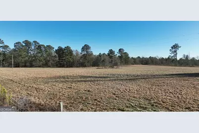 5257 Blume Road Road, Mitchell, GA 30820 - Photo 2