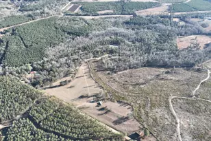 5257 Blume Road Rd, Mitchell, GA 30820 - Photo 1