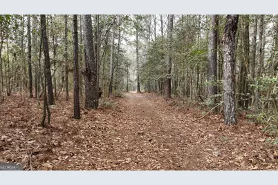 5257 Blume Road, Mitchell, GA 30820 - Photo 10