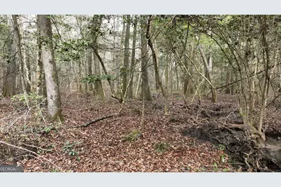 5257 Blume Road, Mitchell, GA 30820 - Photo 12