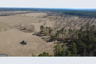 140 Keas Church Circle, Adrian, GA 31002 - Photo 42