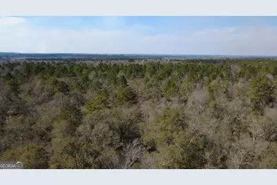 140 Keas Church Circle, Adrian, GA 31002 - Photo 34