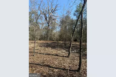 140 Keas Church Circle, Adrian, GA 31002 - Photo 10