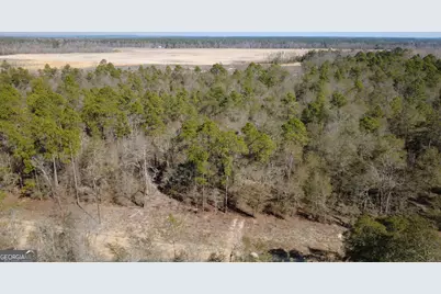 140 Keas Church Circle, Adrian, GA 31002 - Photo 48