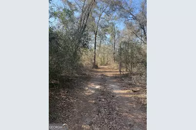 140 Keas Church Circle, Adrian, GA 31002 - Photo 8