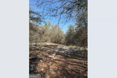 140 Keas Church Circle, Adrian, GA 31002 - Photo 14