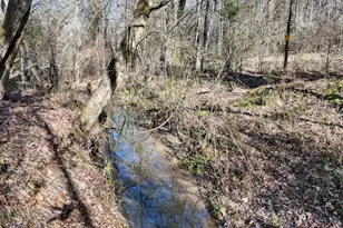 1852 St Hwy 325, Blairsville, GA 30512 - Photo 38