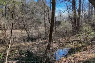 1852 St Hwy 325, Blairsville, GA 30512 - Photo 42