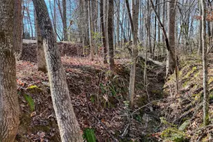 1852 St Hwy 325, Blairsville, GA 30512 - Photo 44