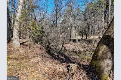 1852 St Highway 325, Blairsville, GA 30512 - Photo 40