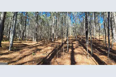 Lot 41 Deyton Drive, Blairsville, GA 30512 - Photo 4