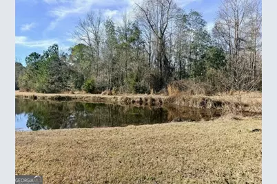 1431 Community Road, Glennville, GA 30427 - Photo 36