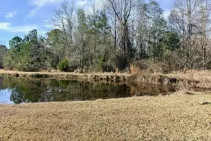 1431 Community Rd, Glennville, GA 30427 - Photo 36