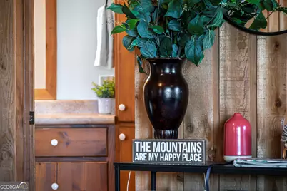 174 Chestnut Ridge, Blue Ridge, GA 30513 - Photo 16