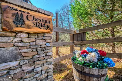 174 Chestnut Ridge, Blue Ridge, GA 30513 - Photo 46