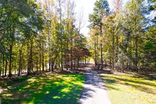 543 Great Salt Ln, Hoschton, GA 30548 - Photo 30