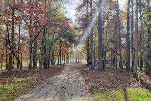 543 Great Salt Ln, Hoschton, GA 30548 - Photo 14