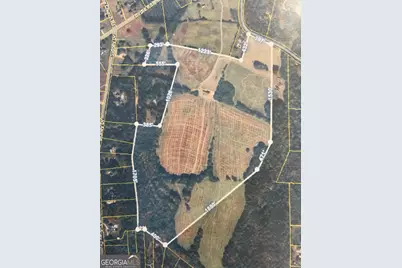 0 Steele Road, Griffin, GA 30223 - Photo 6