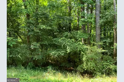 1140 Caboose Court, Greensboro, GA 30642 - Photo 2